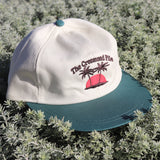 Sunset 6 Panel - Forrest